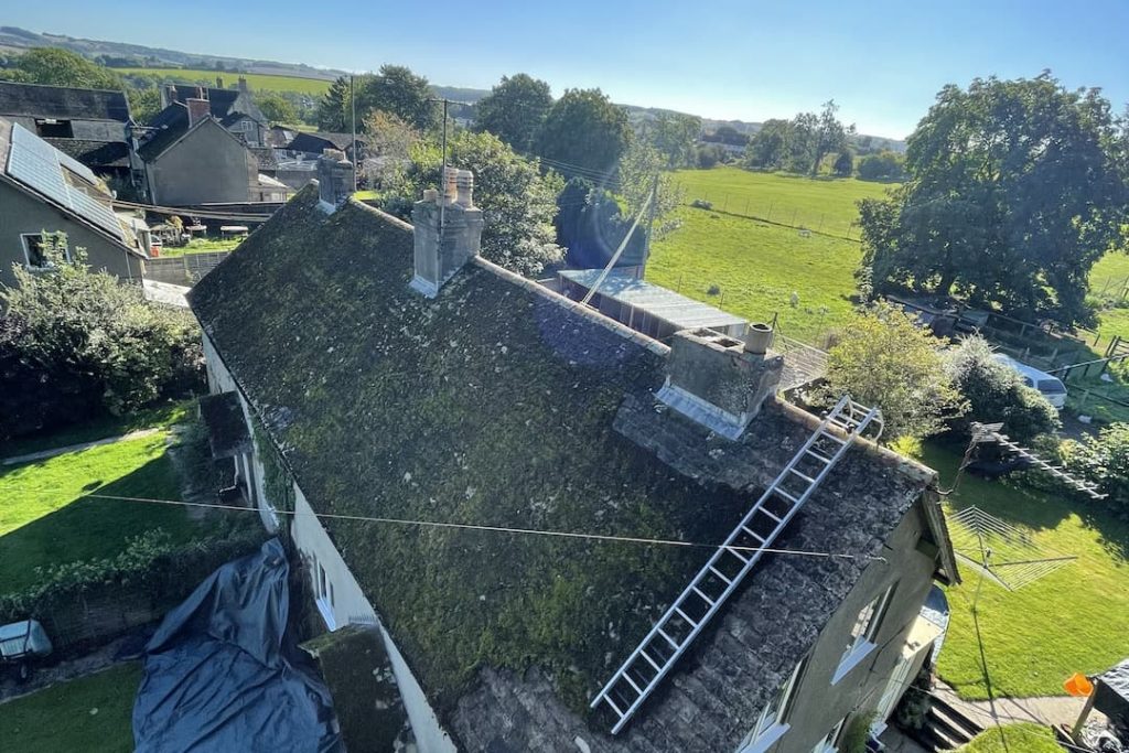 House with moss on roof